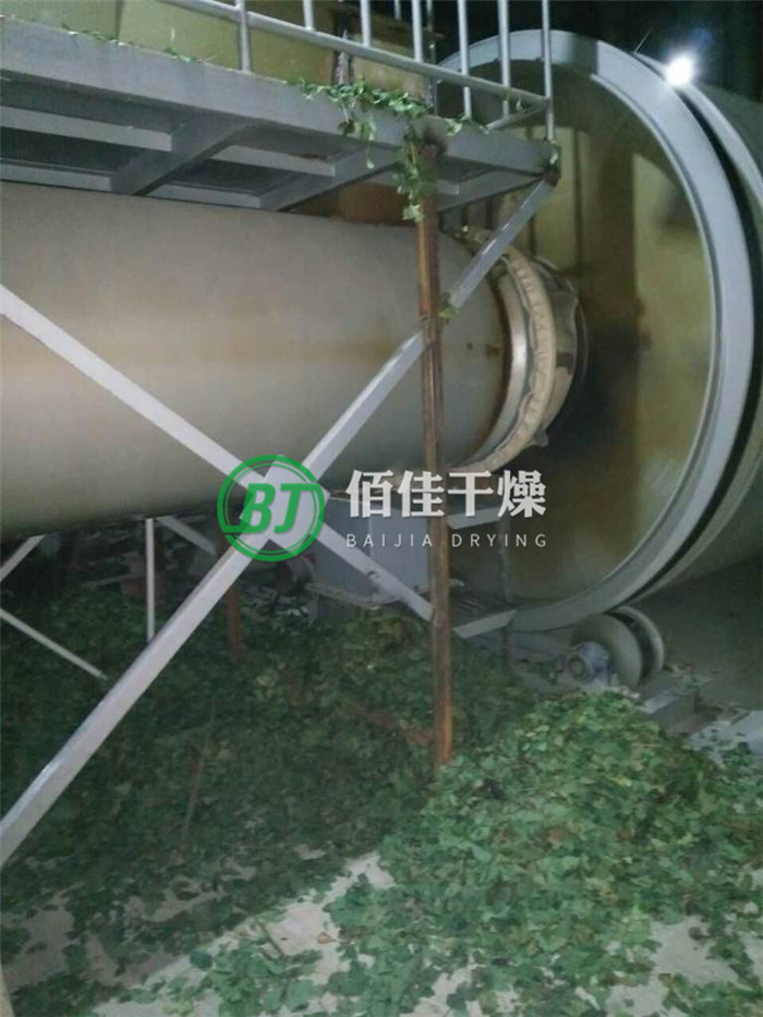 HG銀杏葉烘干機